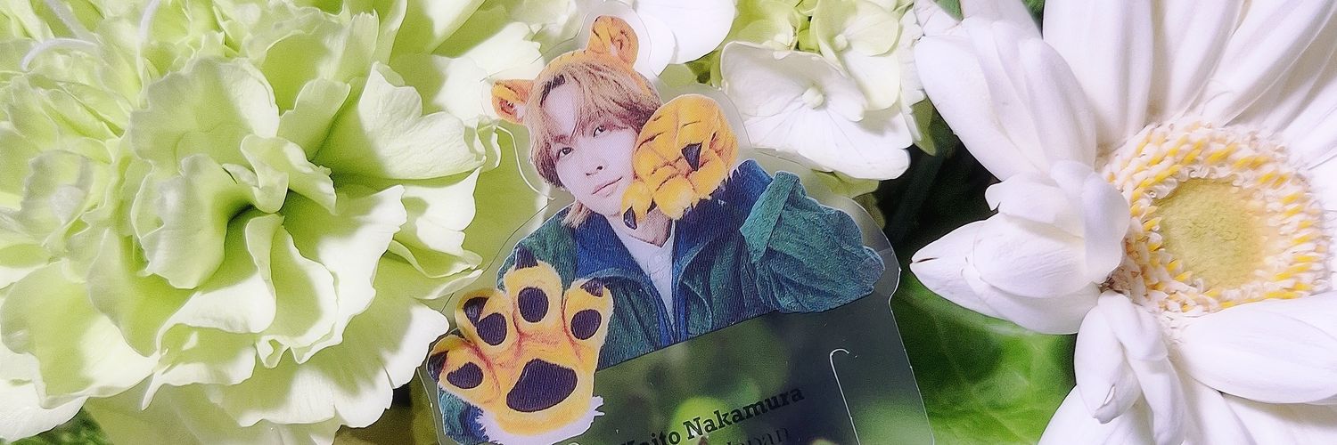 ち ゃ ま💚🐯🇯🇵💚🌛👨‍🍳📿🐊🤙🏻🌺🌴🏄 banner