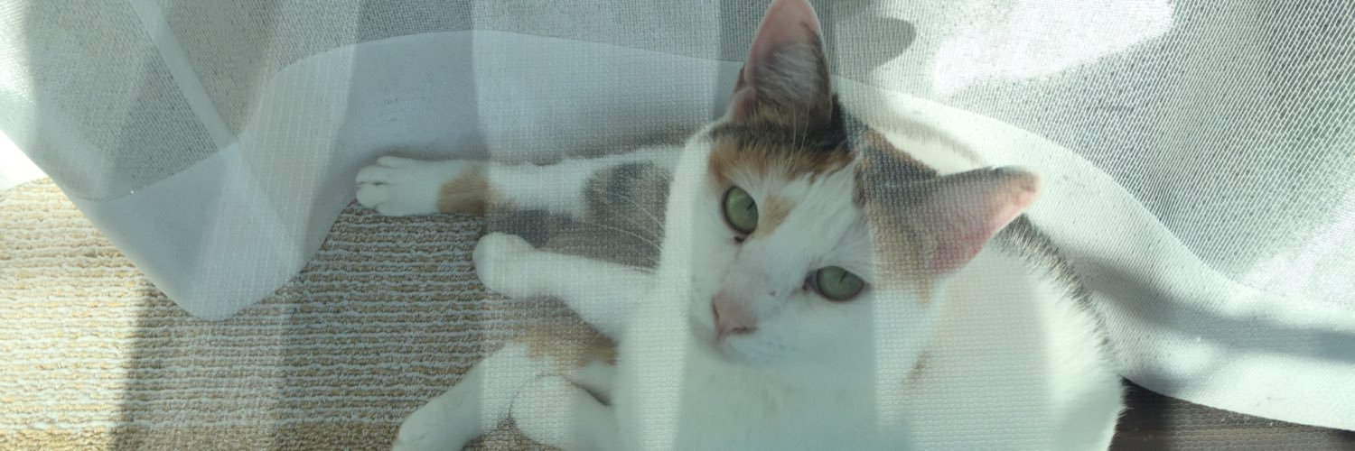 riemine's profile banner image