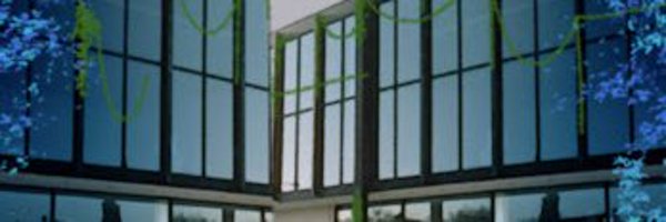 XaevkDraw Profile Banner