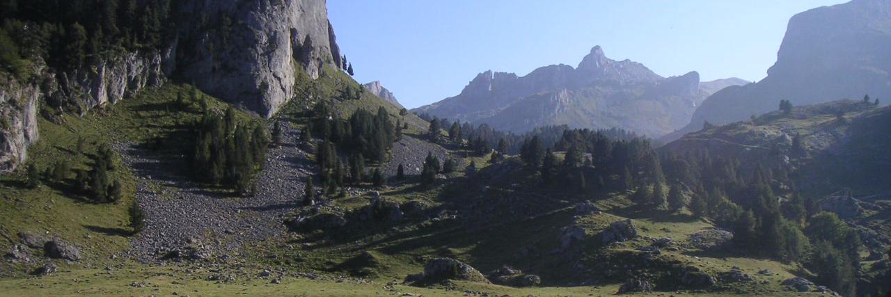 Nature_Creation's profile banner image