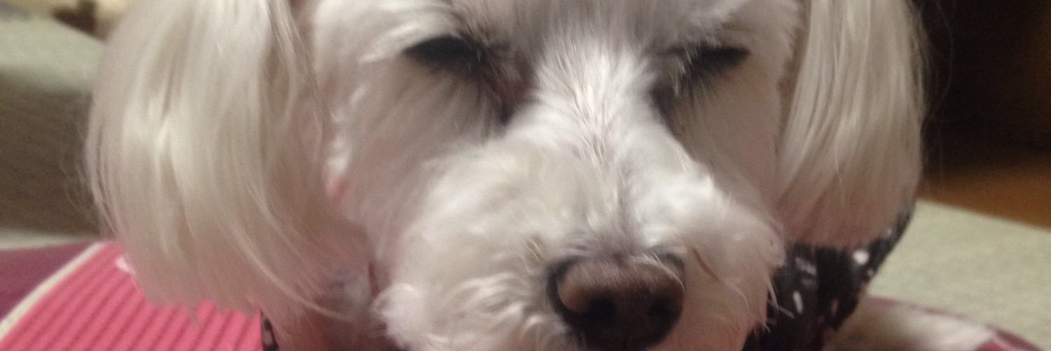 stooooorm1112's profile banner image