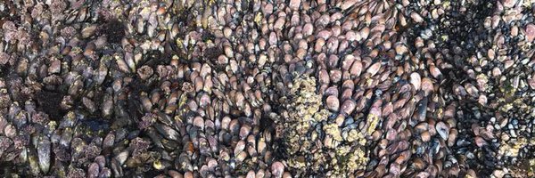 BeineKaylee Profile Banner