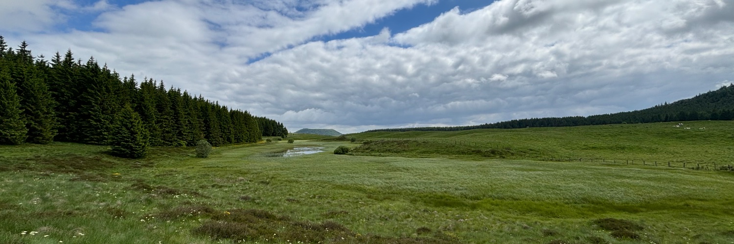 Secure Chicken 🐣 banner