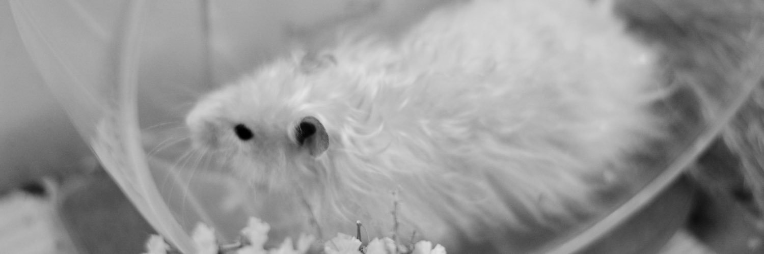 yeapitsmia's profile banner image