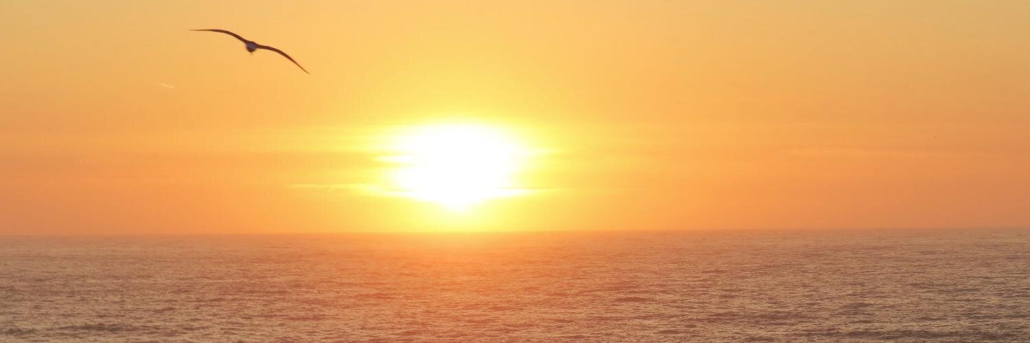 ridleyww's profile banner image