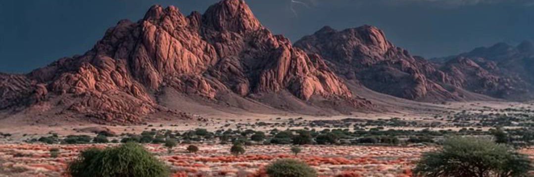 Տℍℳℒⅈℕ banner