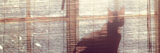 Chocomeowoff's profile banner image