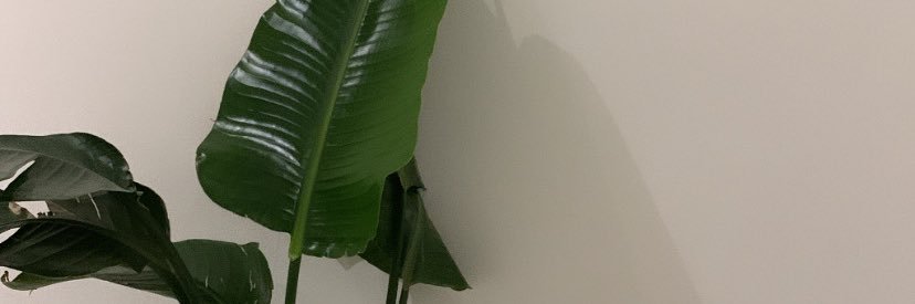 vxii61's profile banner image