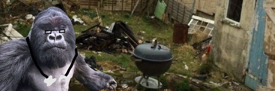 Garydandylion's profile banner image