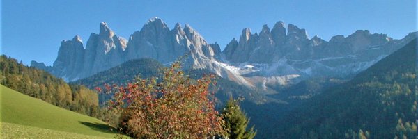 wenyun_lu Profile Banner