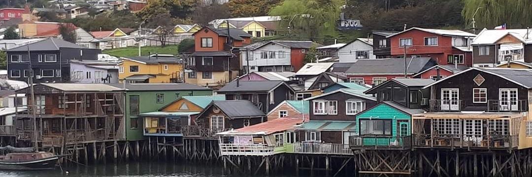 Vicky Aleixa 🌳🇨🇱💚📚 banner