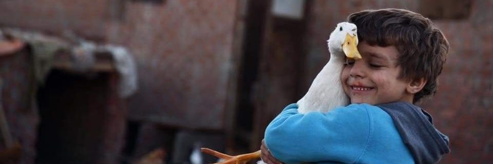 Allaashereff's profile banner image