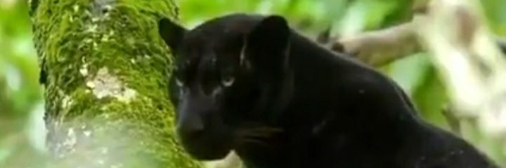 CoopNeeds2Know's profile banner image