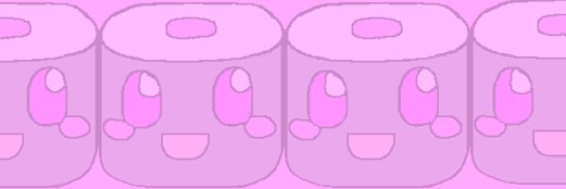 negitorox_'s profile banner image