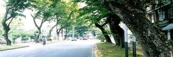 KILENKU Profile Banner