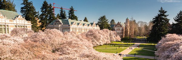 NegarFiroozeh Profile Banner