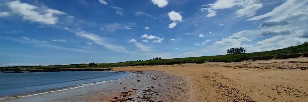 Michael Alexander banner