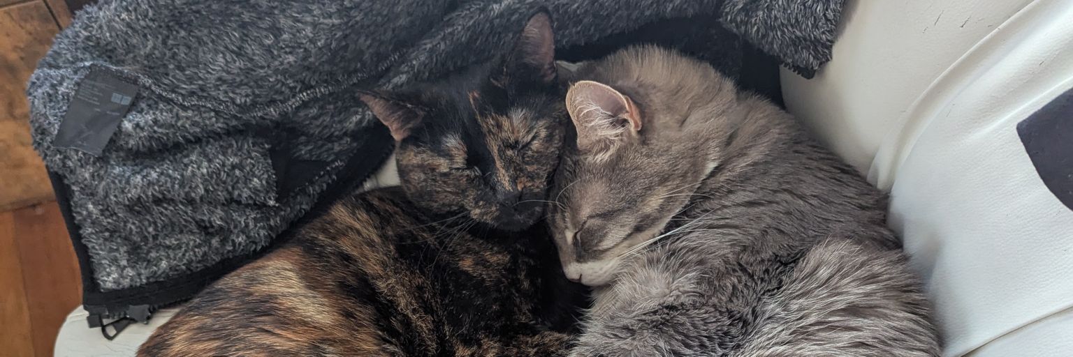 irekter_'s profile banner image