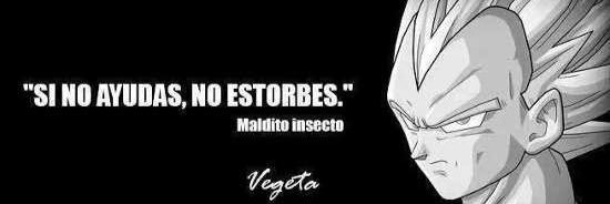 joseedinho's profile banner image