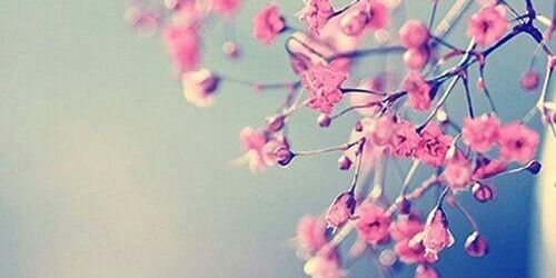 Bee101Biance's profile banner image