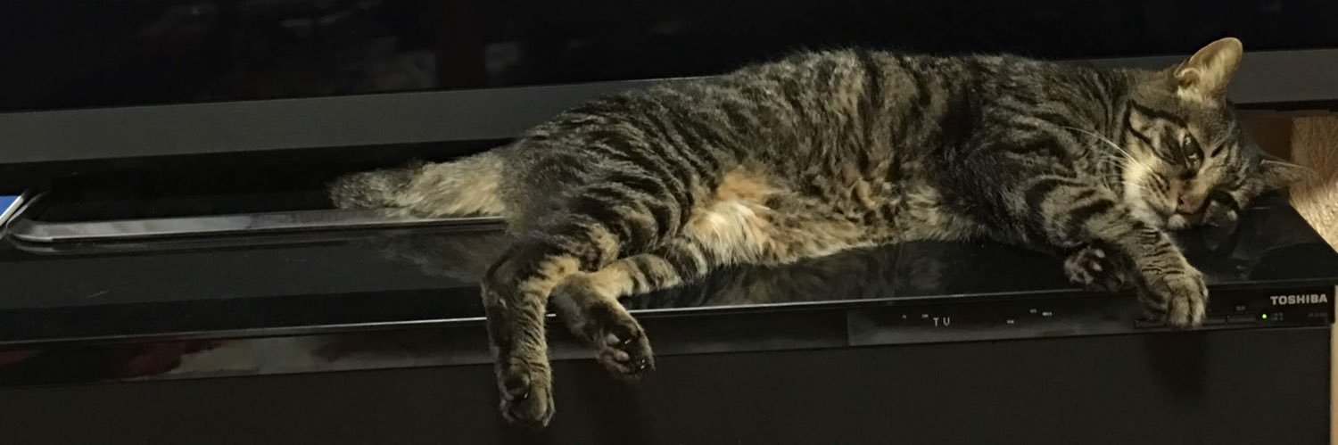 中村たけやす banner