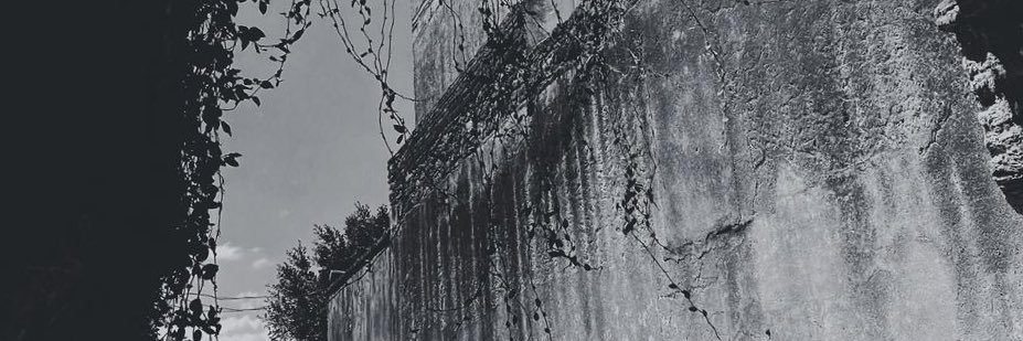 blascm's profile banner image