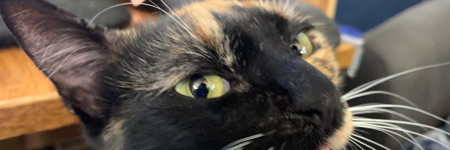 Daily Pet Buzz banner
