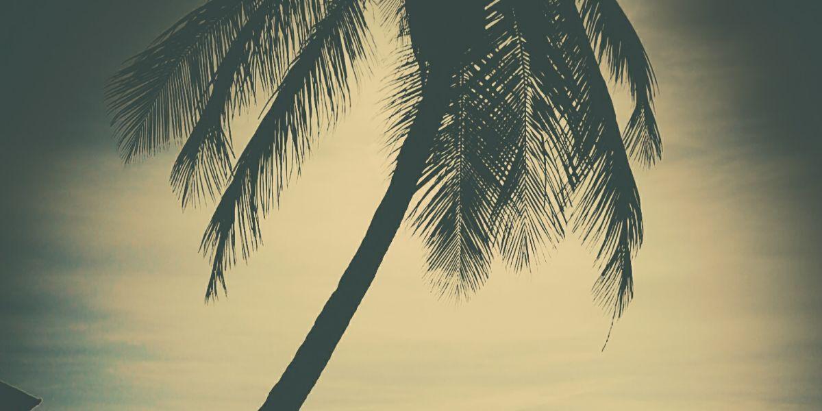 johanadioseli's profile banner image