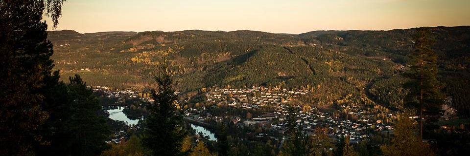 Ida M Haugen Gilbert banner