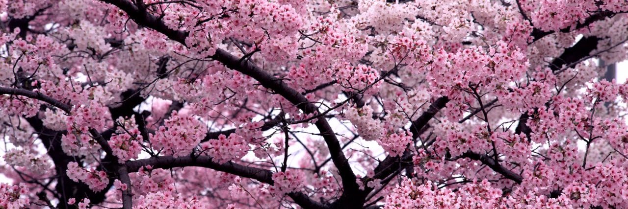 Ggabi15's profile banner image