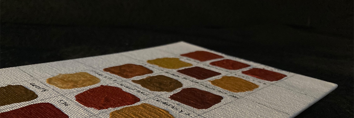 Professor Rachel Popelka-Filcoff banner