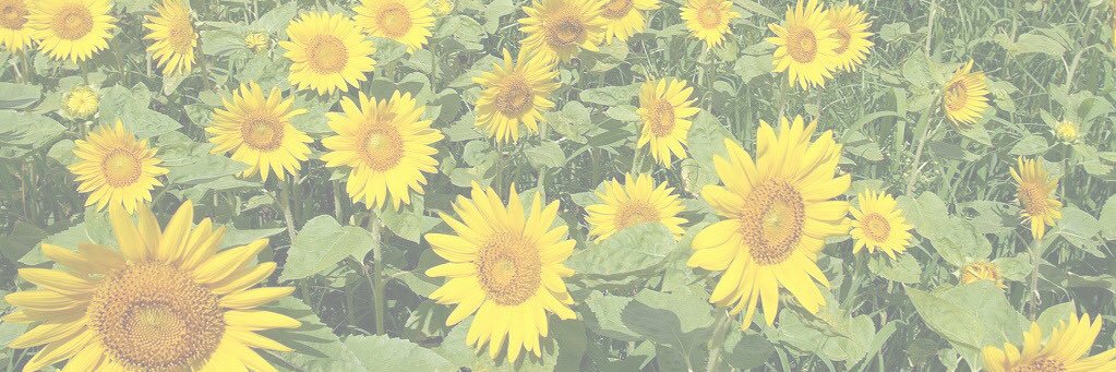 ふい🎗 banner