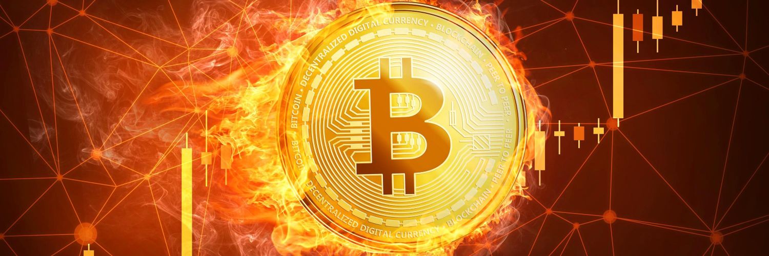 Le President Bitcoin banner