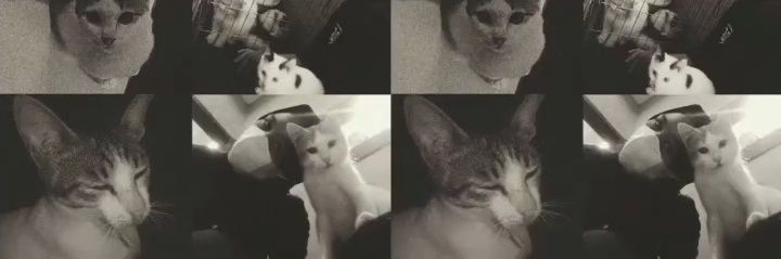 liarj92's profile banner image