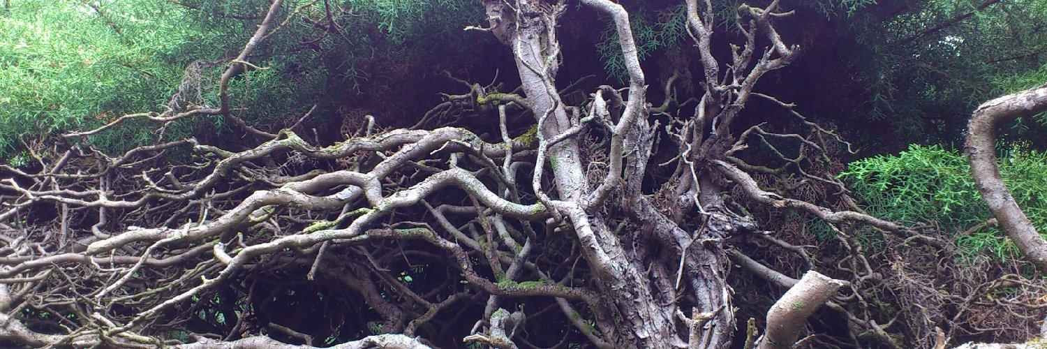 emmaddoolan's profile banner image