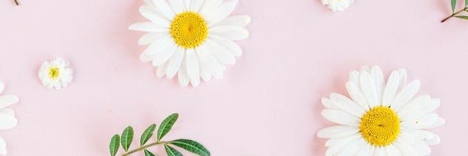 Hellawelly's profile banner image