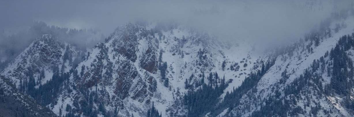 Daniel Haslam 🏔 banner