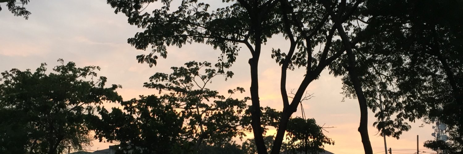 FFungerr's profile banner image