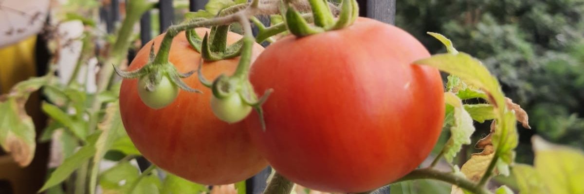 ettpool's profile banner image