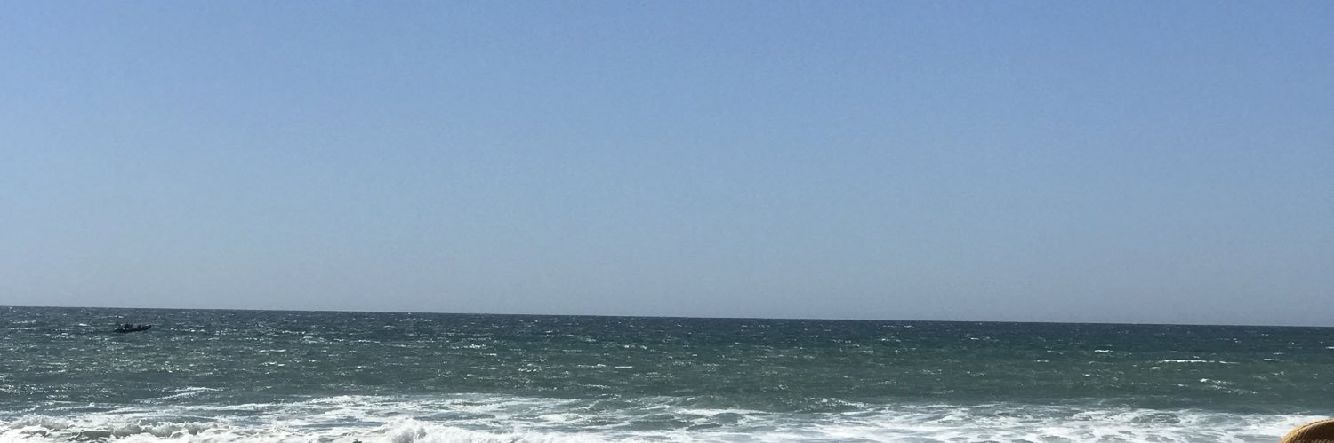 eva banner