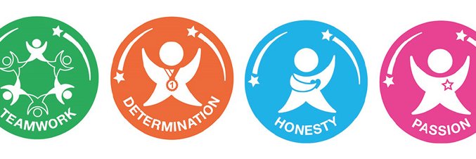 Steve Groves Sports banner