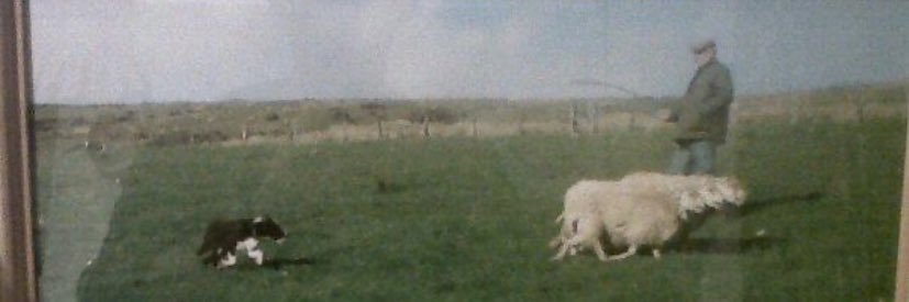 alexhudd4's profile banner image