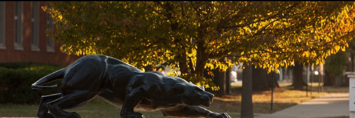 Georgia Acompanado banner