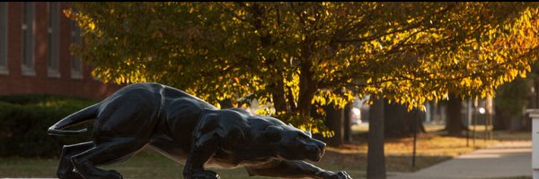 GeorgiaAcomp03 Profile Banner