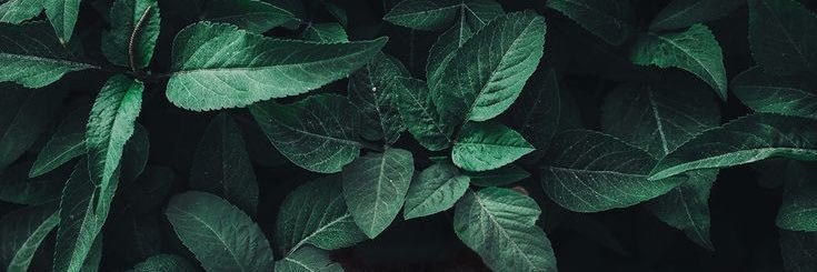 JuliBarillaro's profile banner image