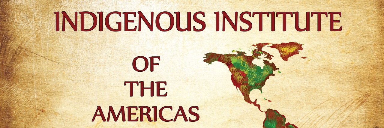 iiamericasorg's profile banner image