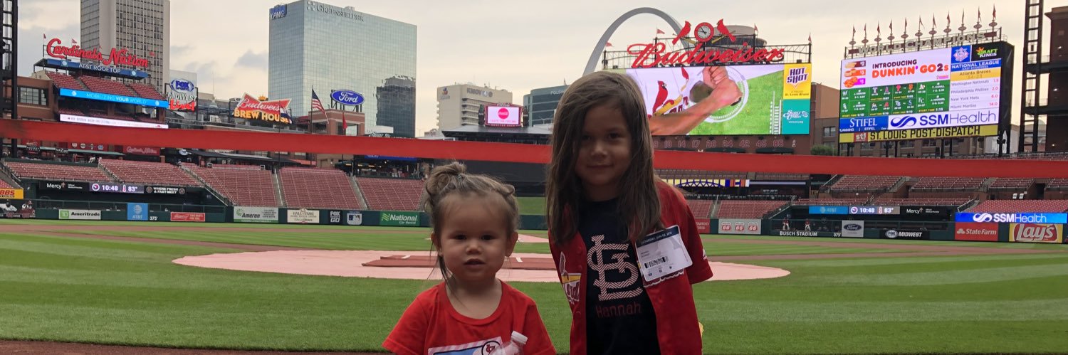 SchmidtSTL's profile banner image