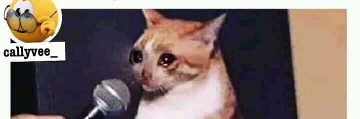 cheupe master banner