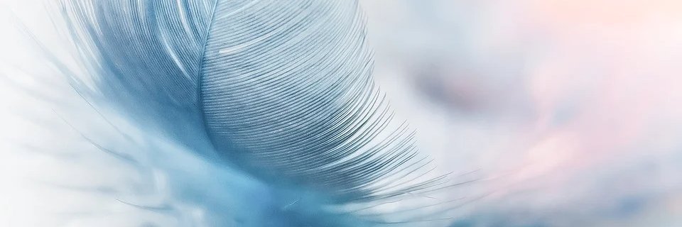 MilouTildou's profile banner image