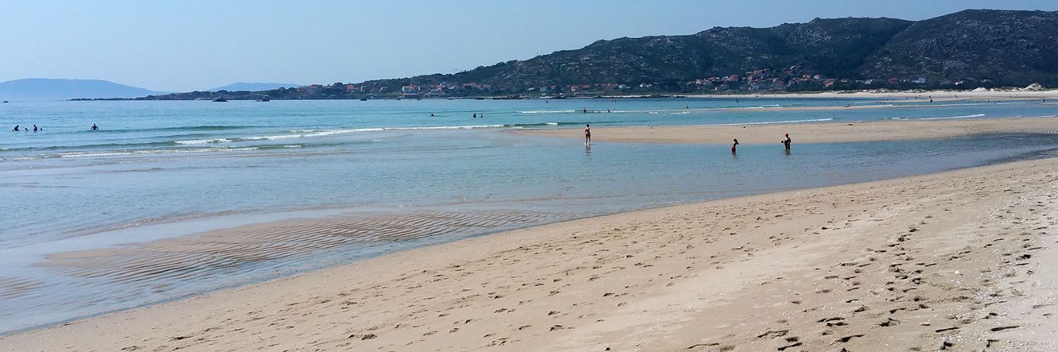 Medio Ambiente e Cambio Climático banner